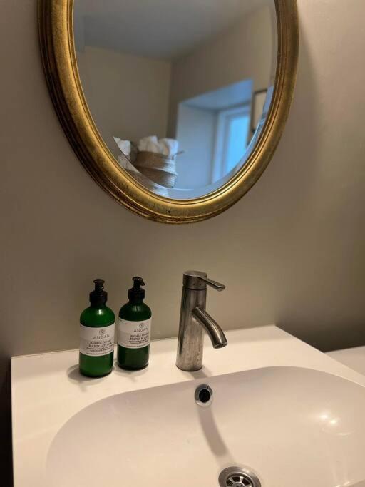 New Cozy Bohemian Dowtown Reykjavik Apartment المظهر الخارجي الصورة