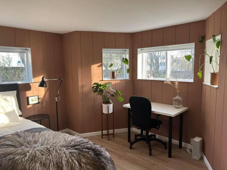 New Cozy Bohemian Dowtown Reykjavik Apartment المظهر الخارجي الصورة